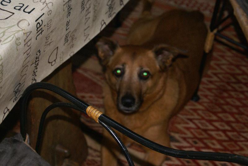 DSC00234
