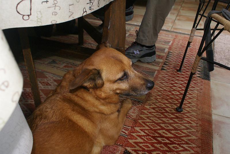 DSC00350