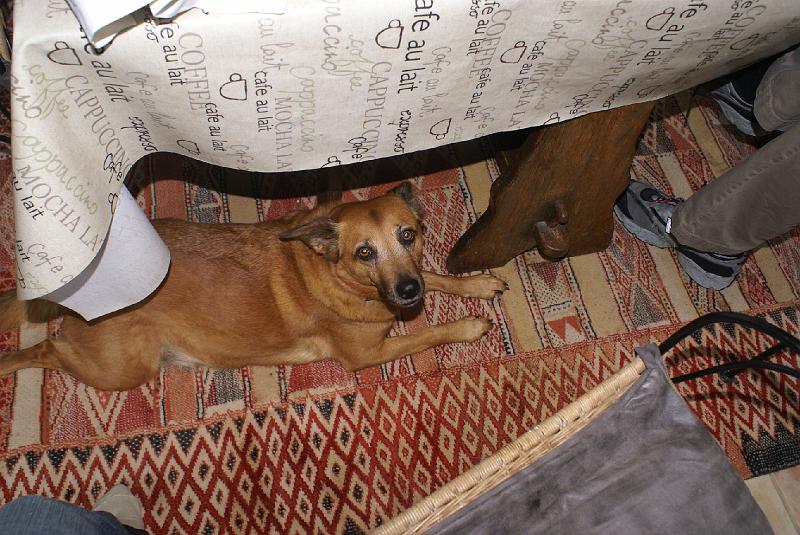 DSC00351