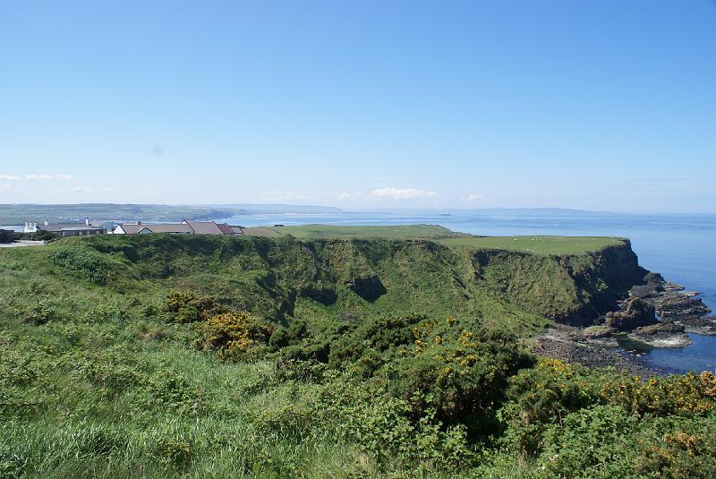 DSC00439