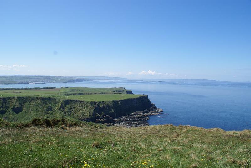 DSC00459
