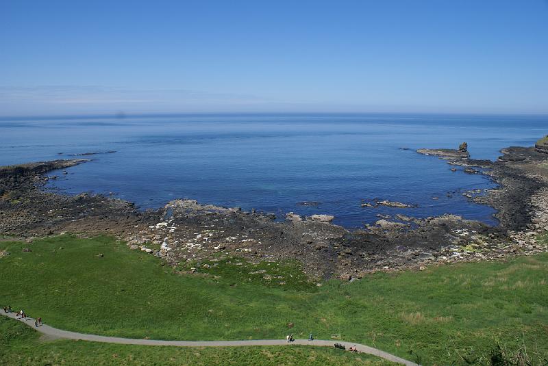 DSC00481