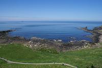 DSC00481